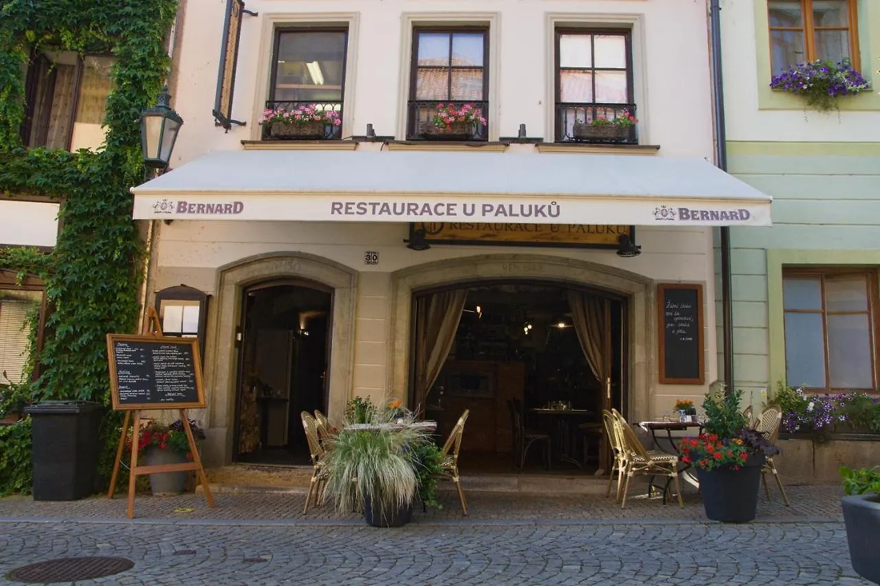 U Paluku Apartment Chrudim